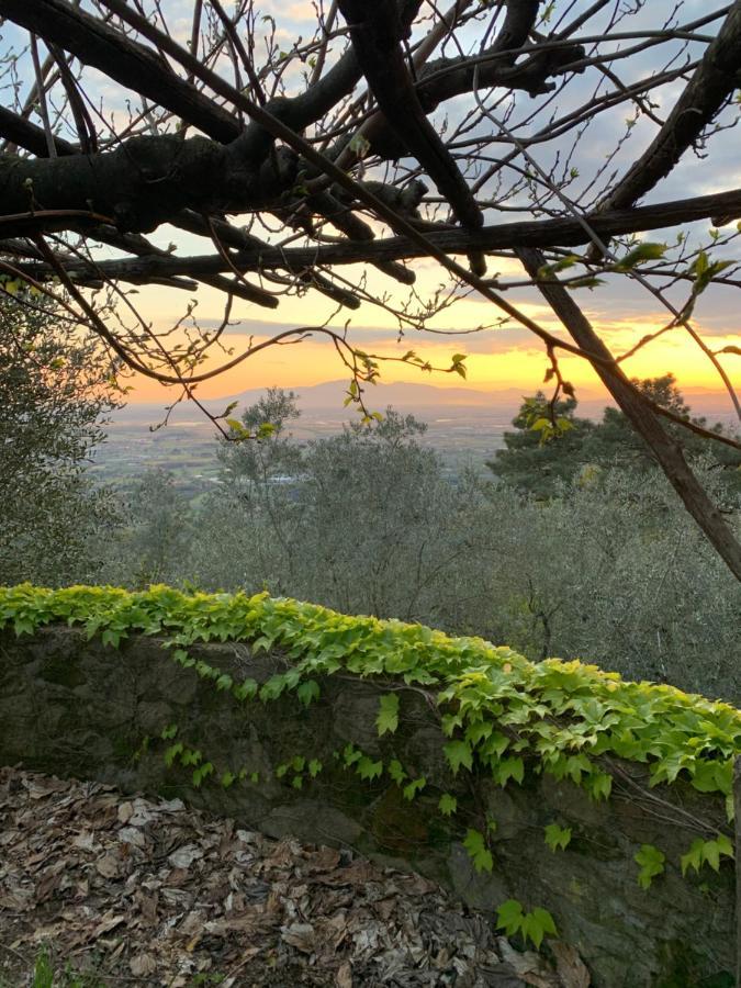 לינה וארוחת בוקר Larciano Podere Le Vedute מראה חיצוני תמונה