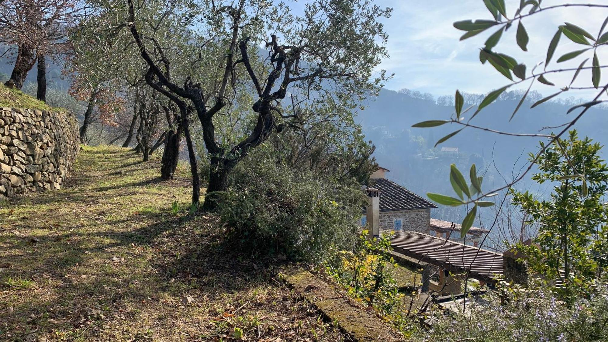 לינה וארוחת בוקר Larciano Podere Le Vedute מראה חיצוני תמונה